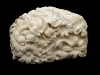 Face in the Flowers, Farmington limestone